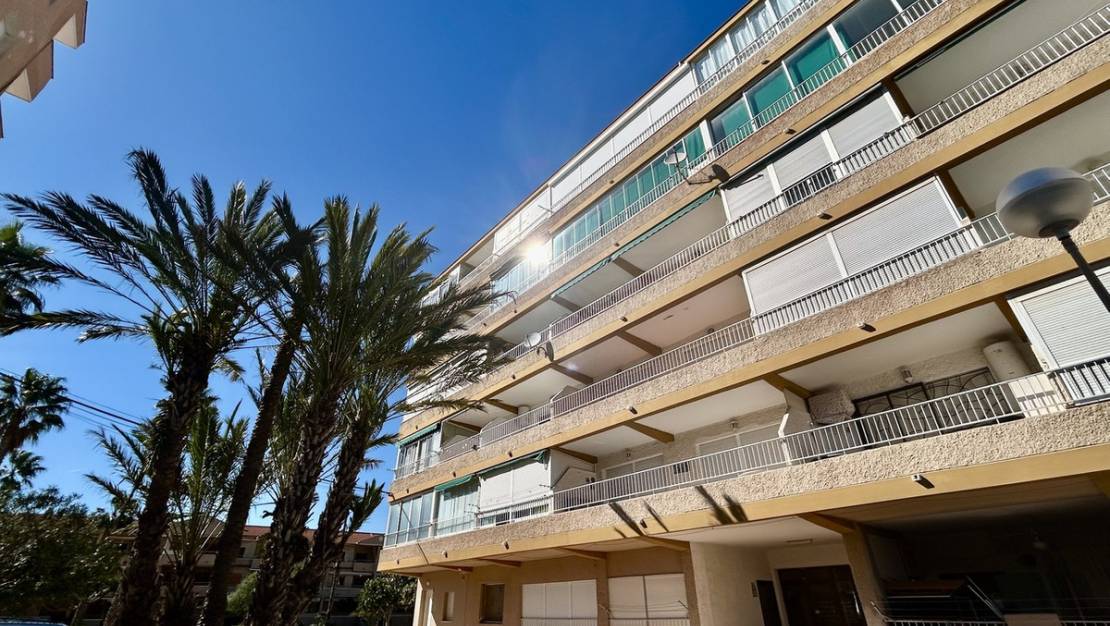 Venta - Apartment - Guardamar del Segura - Guardamar del Segura Centro