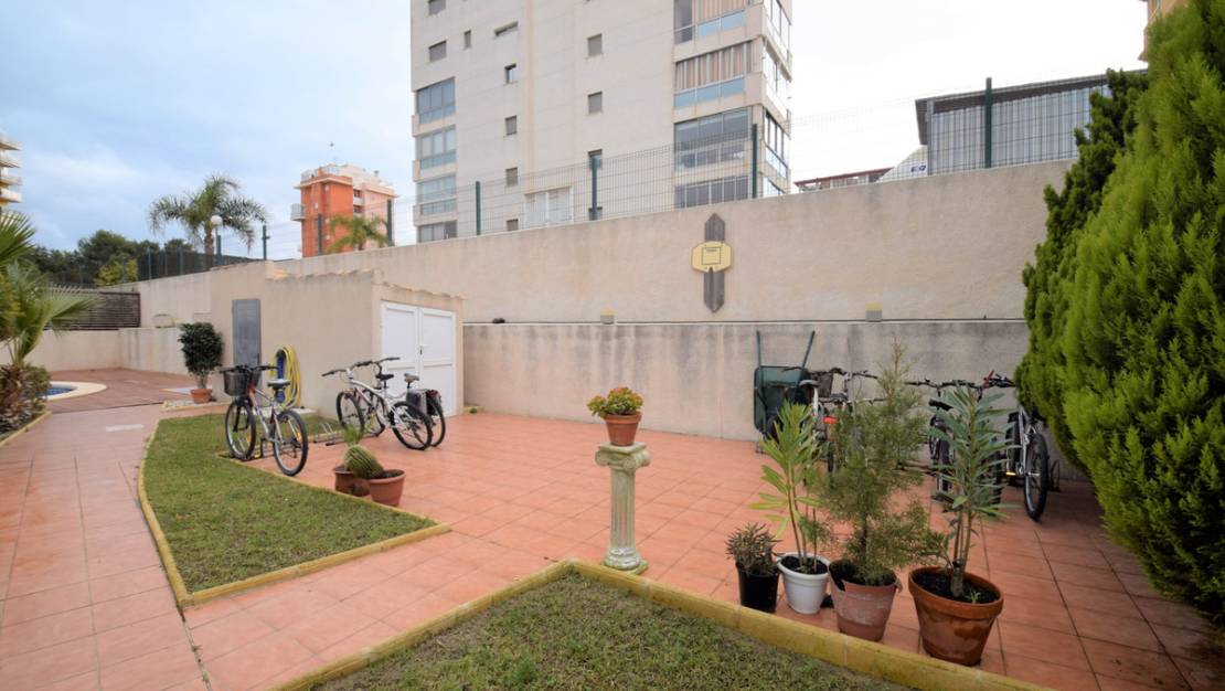 Venta - Apartment - Guardamar del Segura - Guardamar del Segura Centro