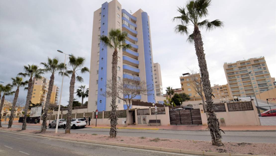 Venta - Apartment - Guardamar del Segura - Guardamar del Segura Centro
