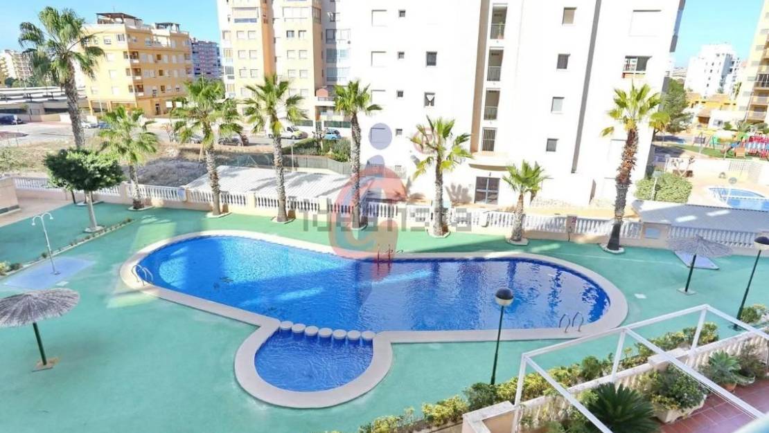 Venta - Apartment - Guardamar del Segura - Guardamar del Segura Centro