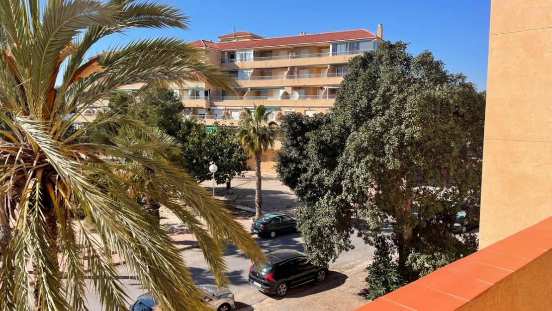 Venta - Apartment - Guardamar del Segura - Guardamar del Segura Centro