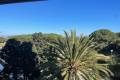 Venta - Apartment - Guardamar del Segura - Guardamar del Segura Centro