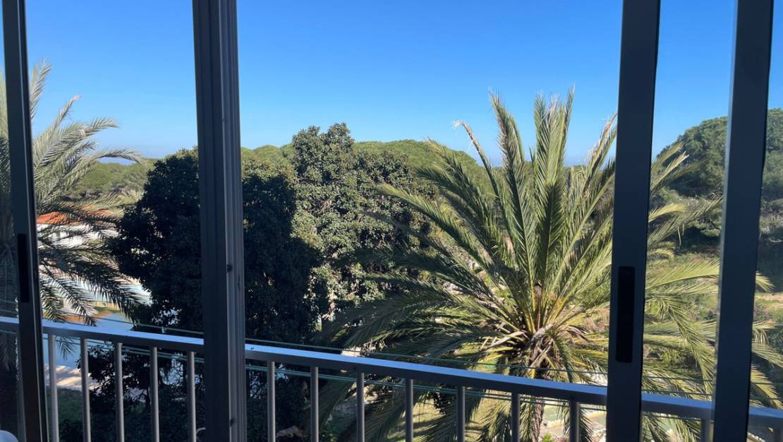 Venta - Apartment - Guardamar del Segura - Guardamar del Segura Centro