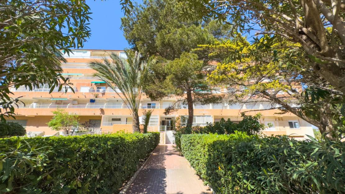 Venta - Apartment - Guardamar del Segura - Guardamar del Segura Centro