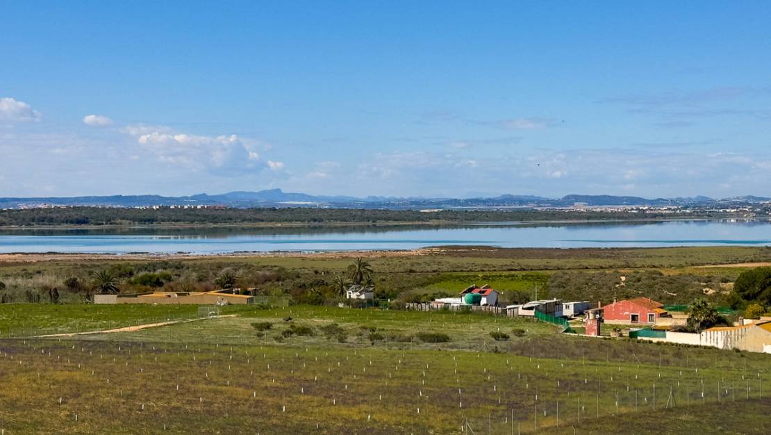 Venta - Apartment - Guardamar del Segura - Guardamar del Segura Centro