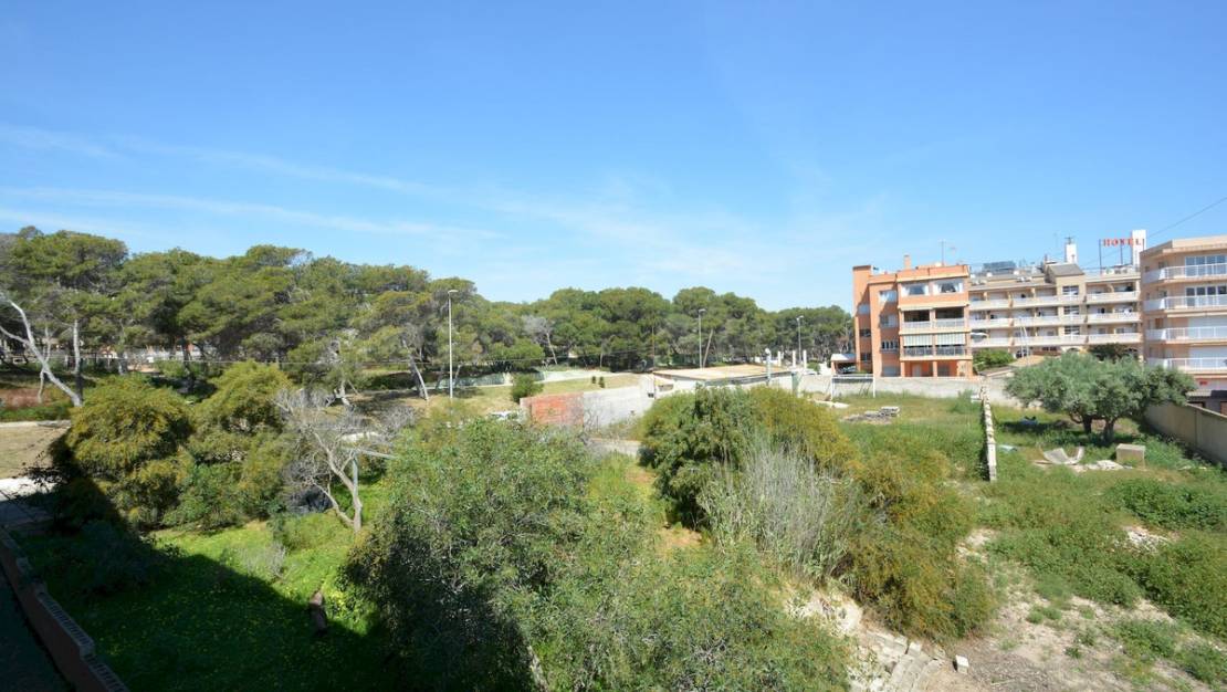 Venta - Apartment - Guardamar del Segura - Guardamar del Segura Centro