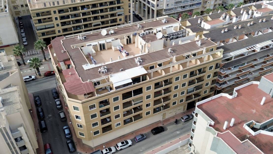 Venta - Apartment - Guardamar del Segura - Guardamar del Segura Centro