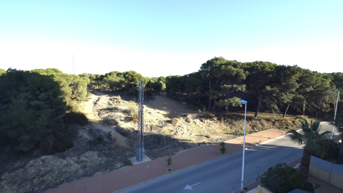 Venta - Apartment - Guardamar del Segura - Guardamar del Segura Centro