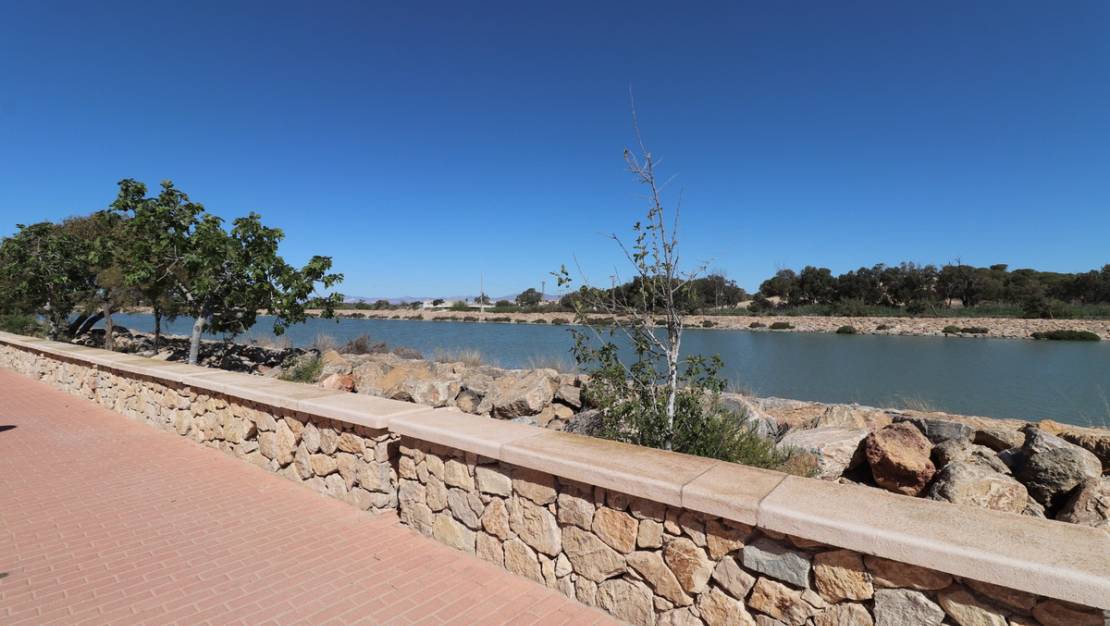 Venta - Apartment - Guardamar del Segura - Guardamar del Segura Centro
