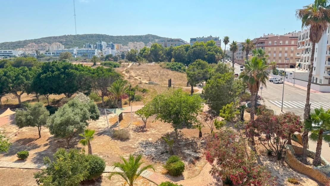 Venta - Apartment - Guardamar del Segura - Guardamar del Segura Centro