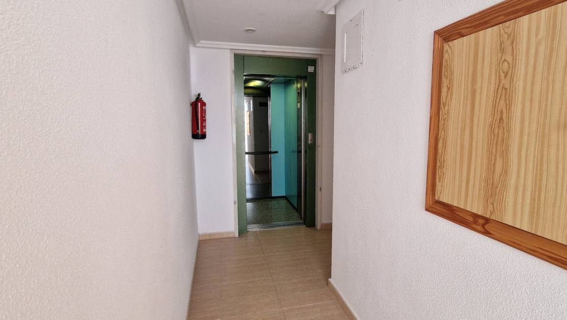 Venta - Apartment - Guardamar del Segura - Guardamar del Segura Centro