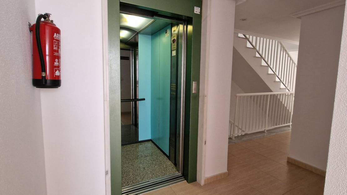 Venta - Apartment - Guardamar del Segura - Guardamar del Segura Centro