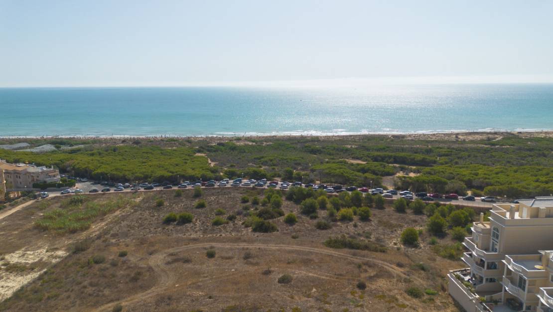 Venta - Apartment - Guardamar del Segura - Guardamar del Segura Centro