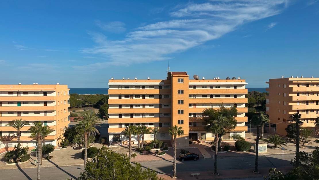 Venta - Apartment - Guardamar del Segura - Guardamar del Segura Centro