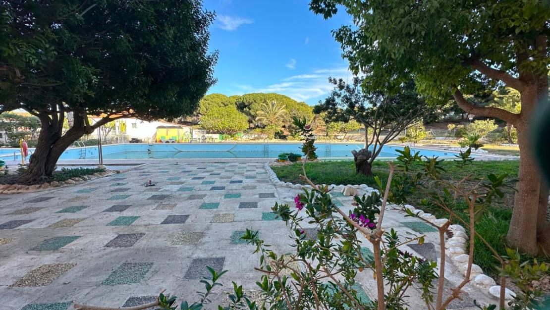 Venta - Apartment - Guardamar del Segura - Guardamar del Segura Centro