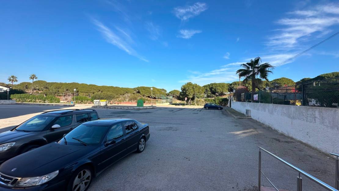 Venta - Apartment - Guardamar del Segura - Guardamar del Segura Centro