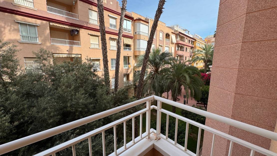 Venta - Apartment - Guardamar del Segura - Guardamar del Segura Centro