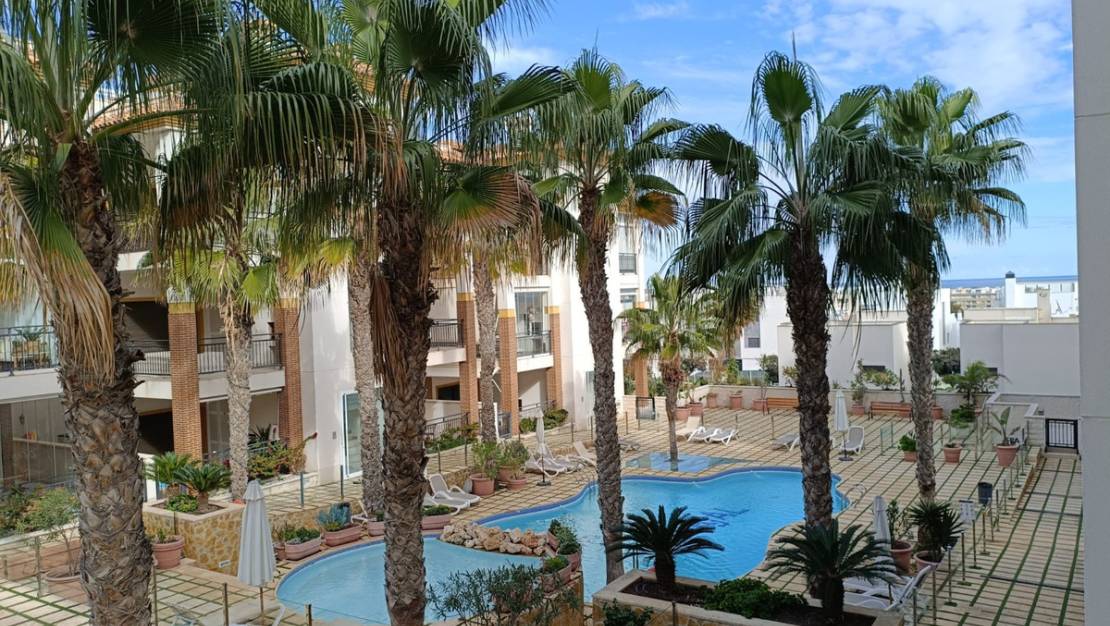 Venta - Apartment - Guardamar del Segura - Guardamar del Segura Centro