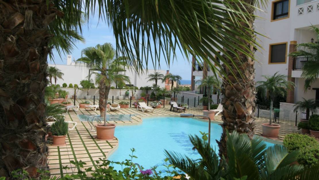 Venta - Apartment - Guardamar del Segura - Guardamar del Segura Centro