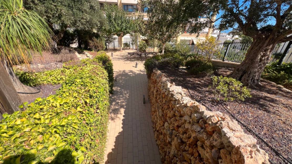 Venta - Apartment - Guardamar del Segura - Guardamar del Segura Centro