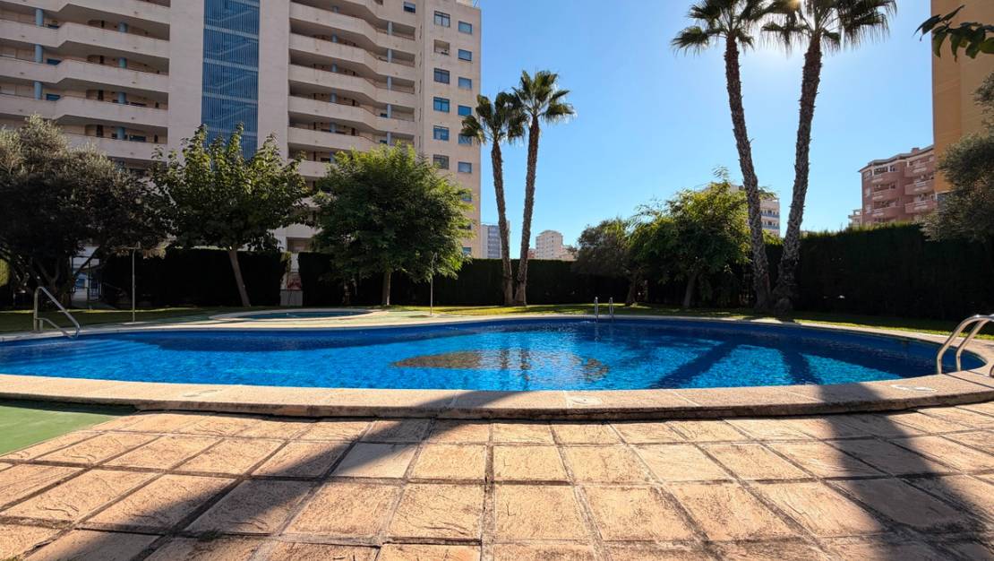 Venta - Apartment - Guardamar del Segura - Guardamar del Segura Centro