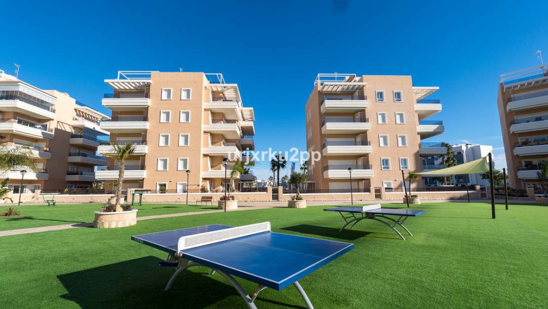 Venta - Apartment - Guardamar del Segura - Urbanización El Raso