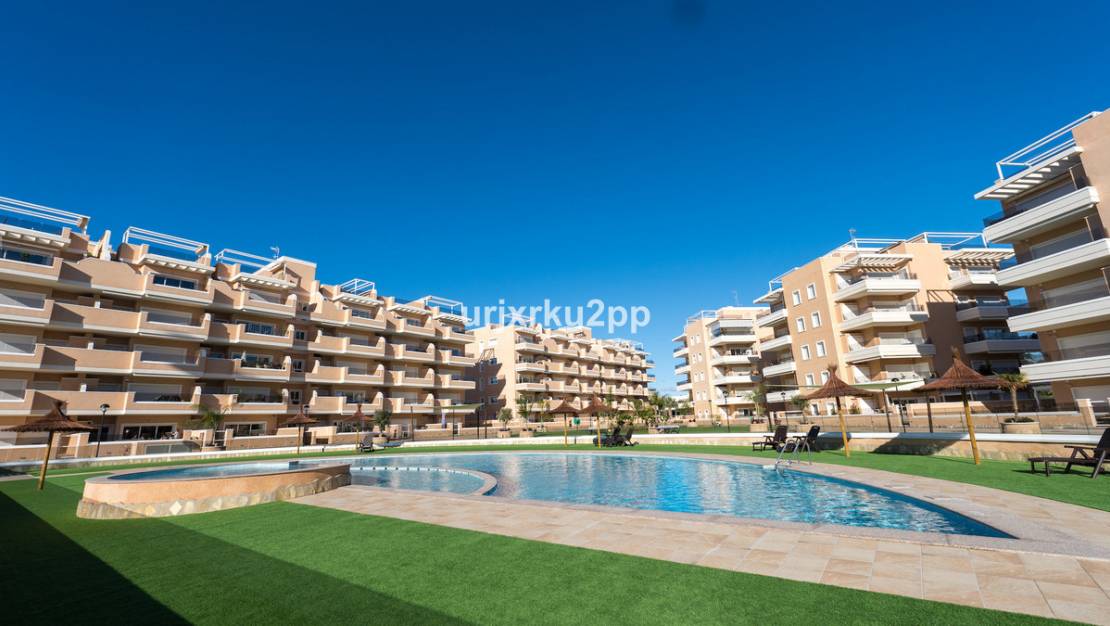 Venta - Apartment - Guardamar del Segura - Urbanización El Raso