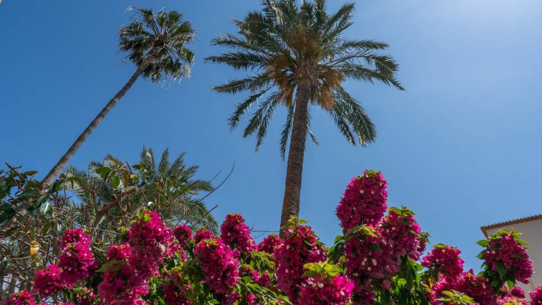 Venta - Apartment - Jávea - Xàbia - Jávea - Xàbia Centro