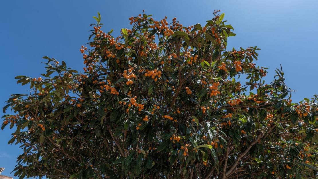 Venta - Apartment - Jávea - Xàbia - Jávea - Xàbia Centro