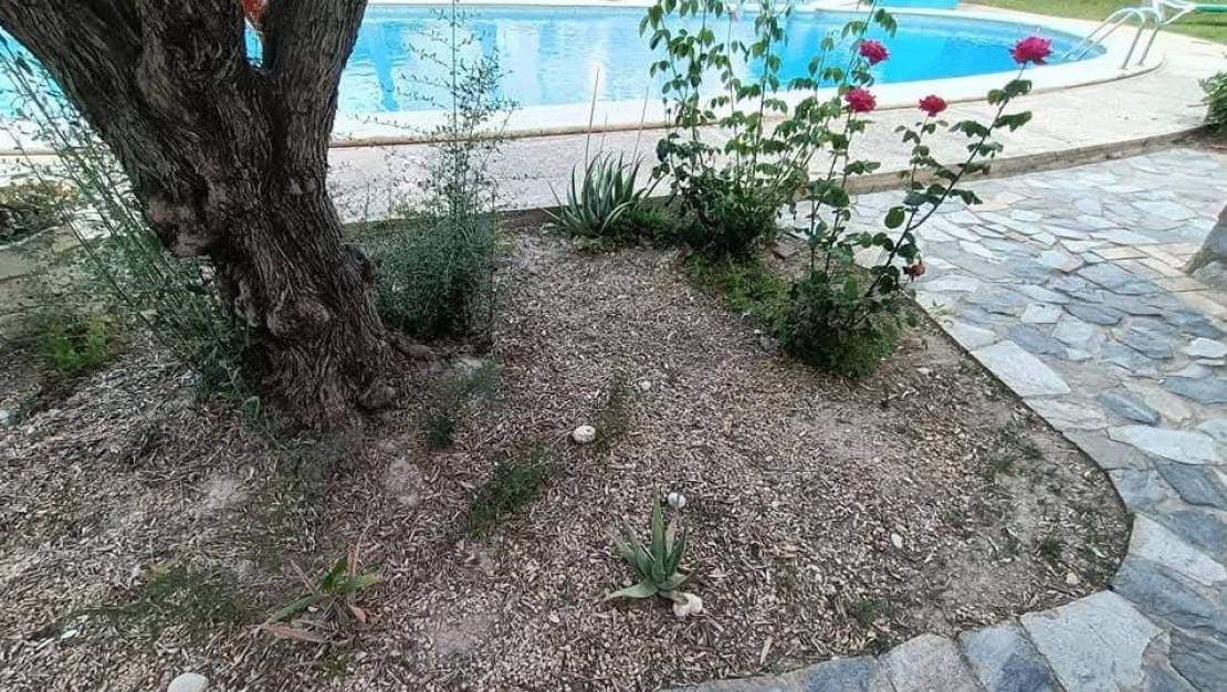 Venta - Apartment - L'Alfás del Pi - Albir