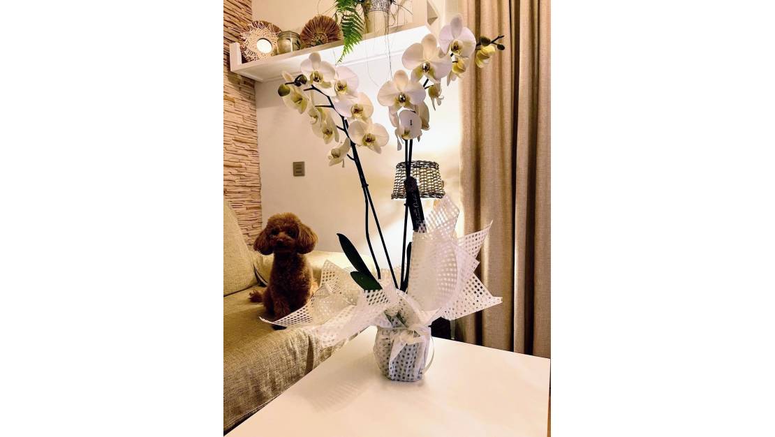 Venta - Apartment - Los Alcázares - Los Alcazares Centro