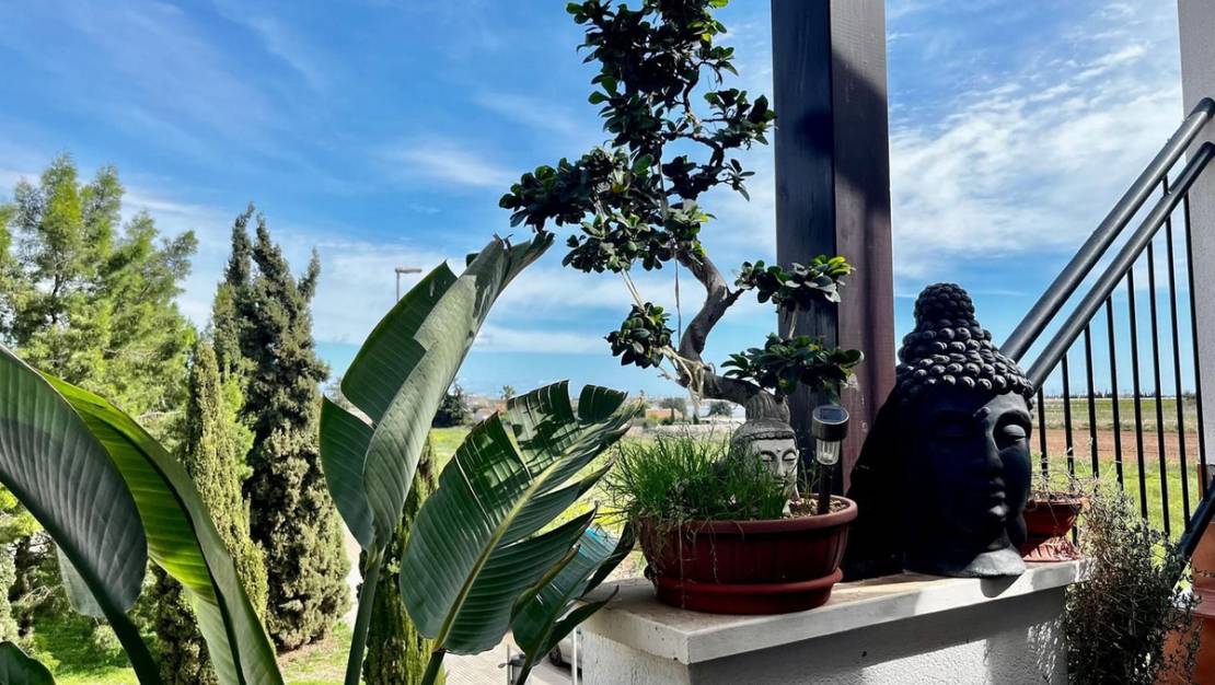 Venta - Apartment - Los Alcázares - Los Alcazares Centro