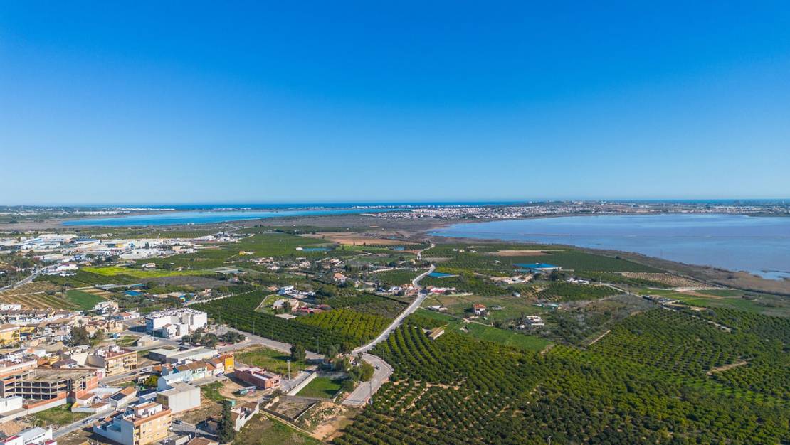 Venta - Apartment - Los Montesinos - Los Montesinos Centro