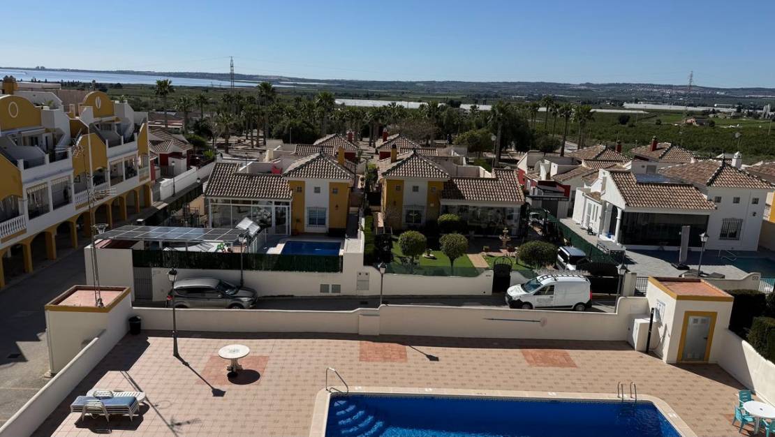 Venta - Apartment - Los Montesinos - Los Montesinos Centro