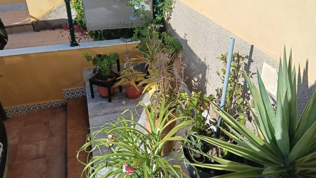 Venta - Apartment - Los Montesinos - Los Montesinos Centro