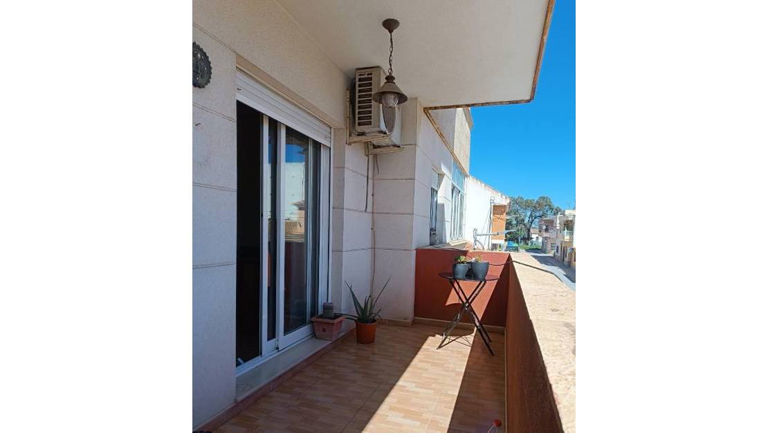 Venta - Apartment - Los Montesinos - Los Montesinos Centro