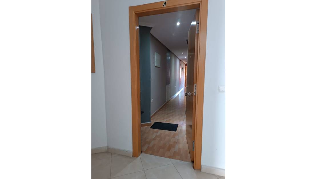 Venta - Apartment - Los Montesinos - Los Montesinos Centro