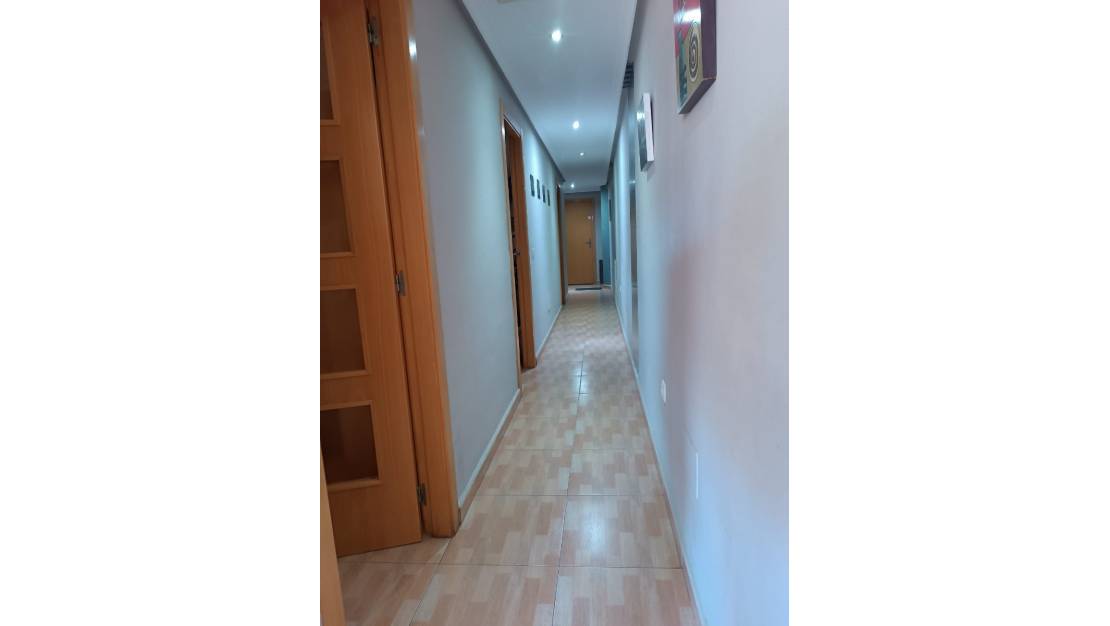 Venta - Apartment - Los Montesinos - Los Montesinos Centro
