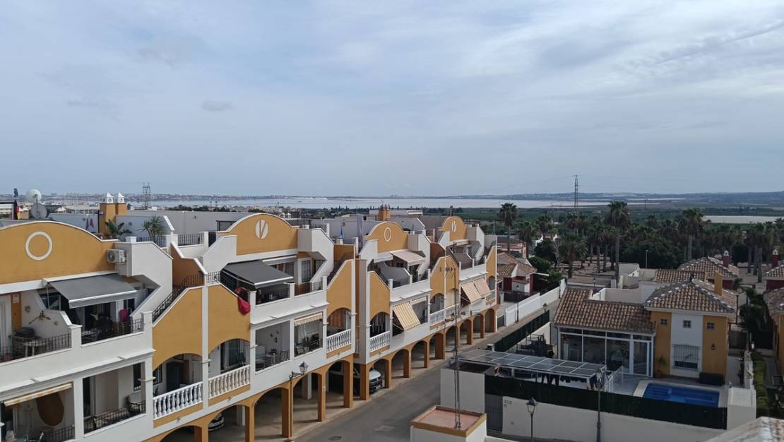Venta - Apartment - Los Montesinos - Los Montesinos Centro