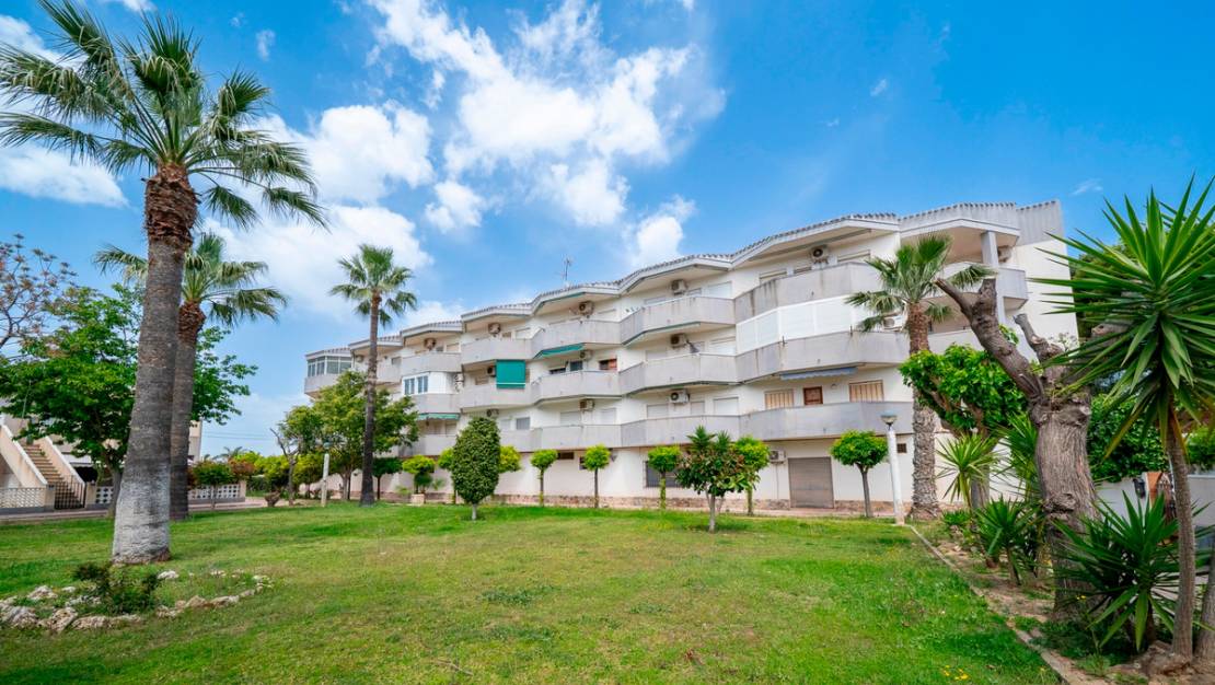 Venta - Apartment - Orihuela - Cabo Roig