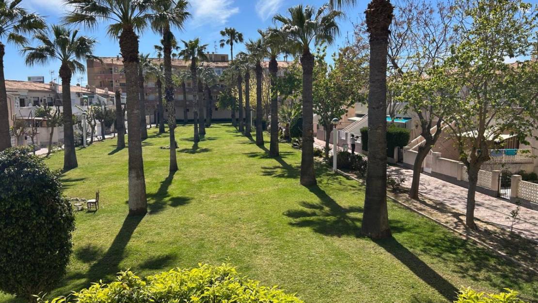 Venta - Apartment - Orihuela - Cabo Roig
