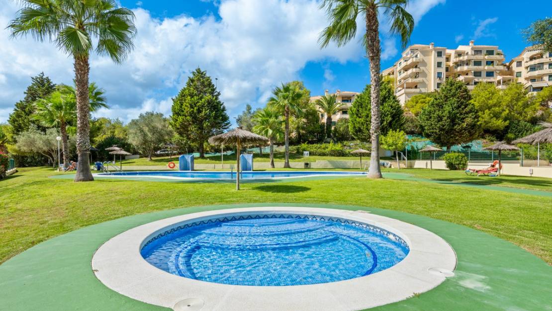 Venta - Apartment - Orihuela - Campoamor