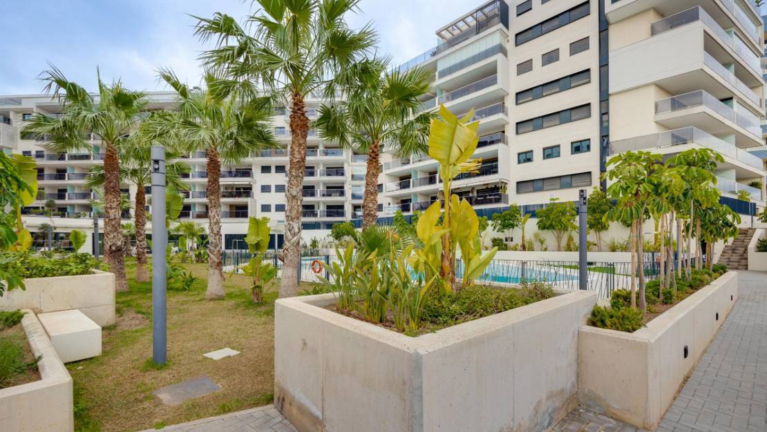 Venta - Apartment - Orihuela - Campoamor