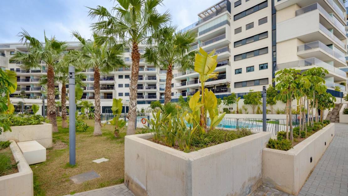 Venta - Apartment - Orihuela - Campoamor