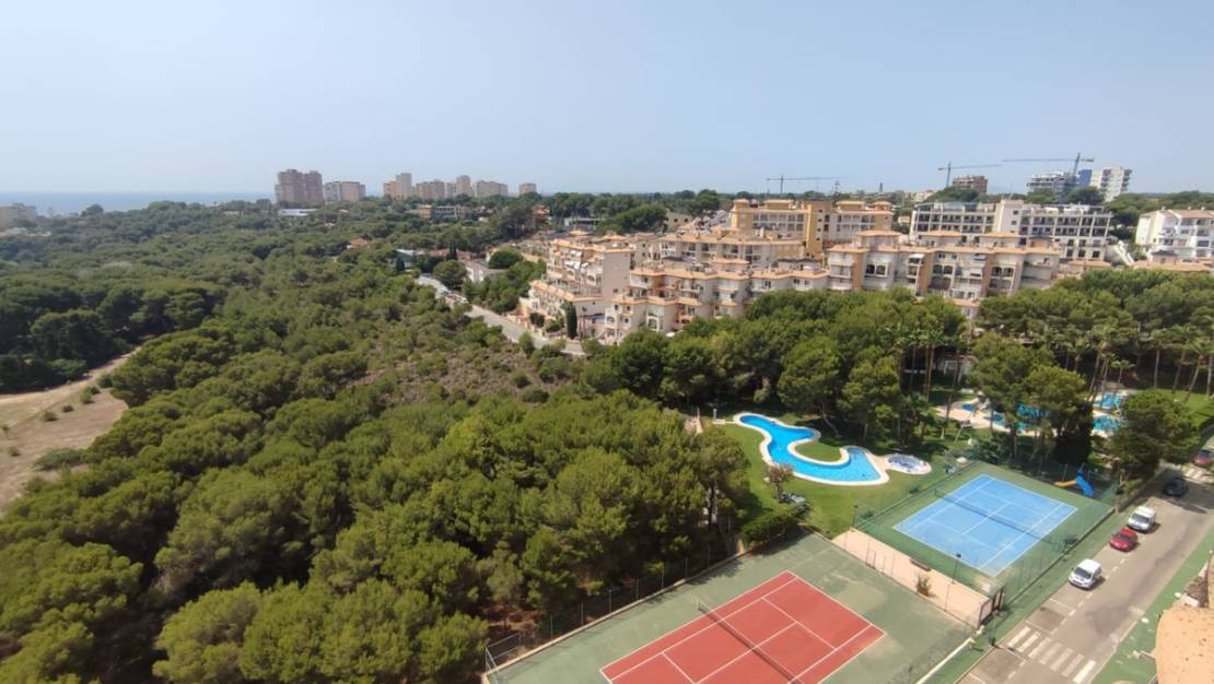 Venta - Apartment - Orihuela - Campoamor