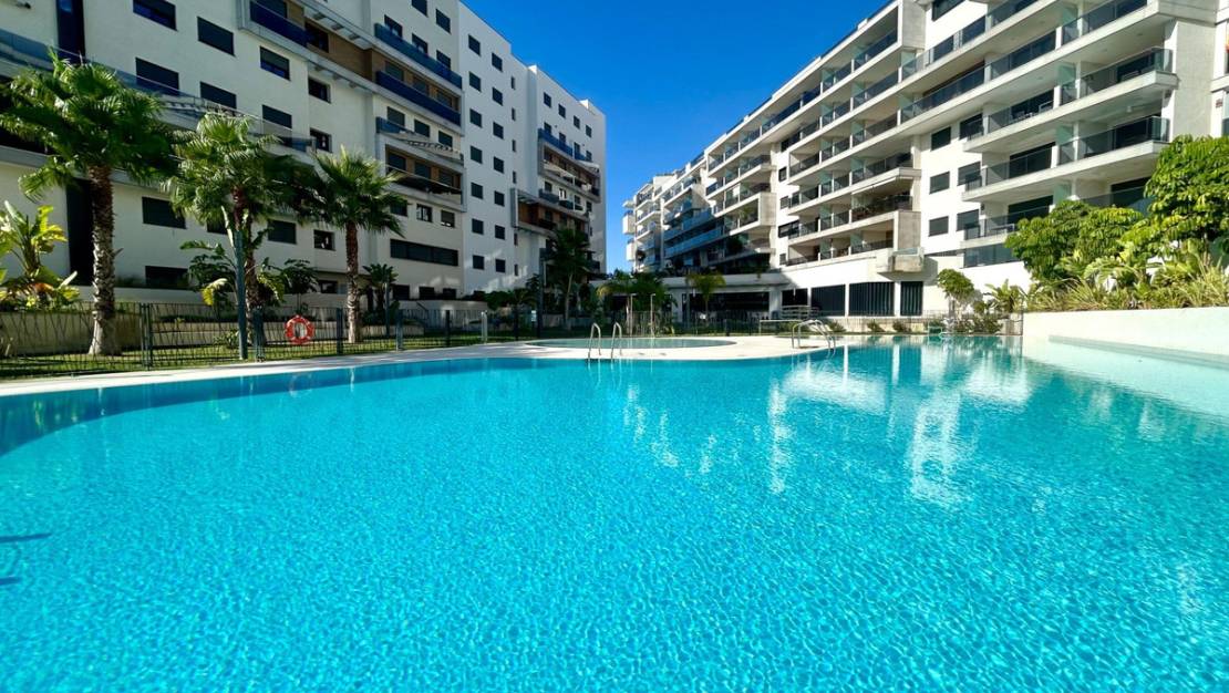 Venta - Apartment - Orihuela - Campoamor
