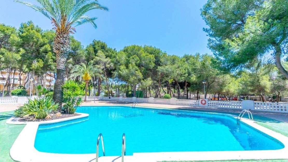 Venta - Apartment - Orihuela Costa - Altos de Campoamor
