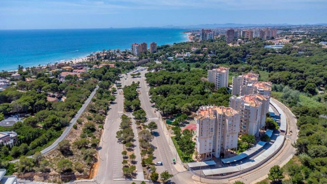 Venta - Apartment - Orihuela Costa - Altos de Campoamor