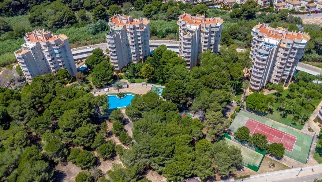 Venta - Apartment - Orihuela Costa - Altos de Campoamor