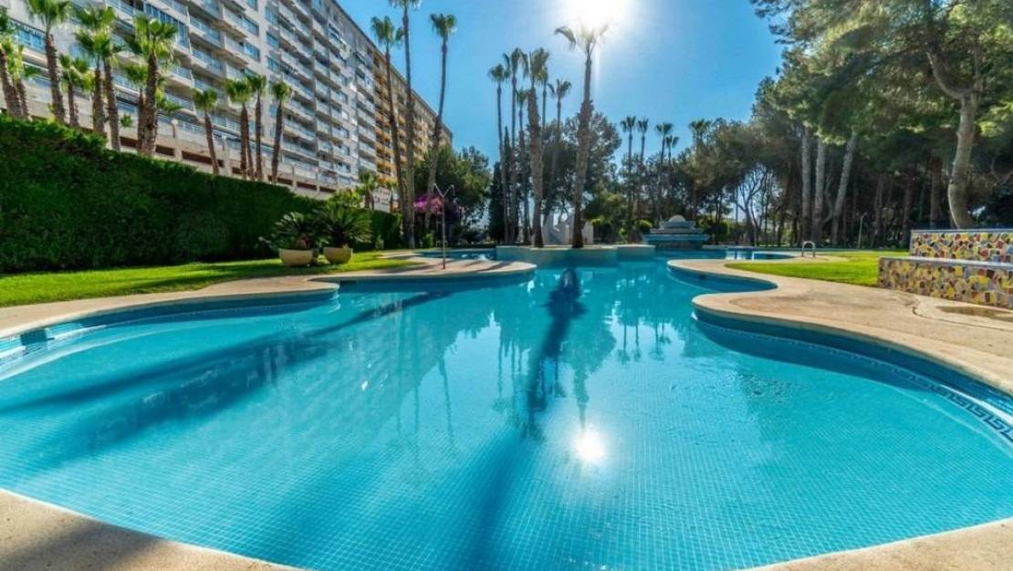Venta - Apartment - Orihuela - Dehesa de Campoamor